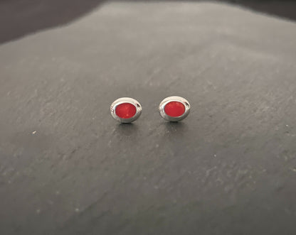 Coral Oval Stud Earrings image 0