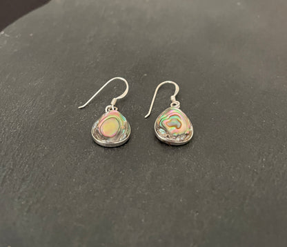 Paua Shell Teardrop Earrings image 1