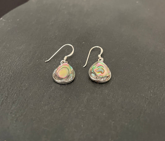 Paua Shell Teardrop Earrings image 1