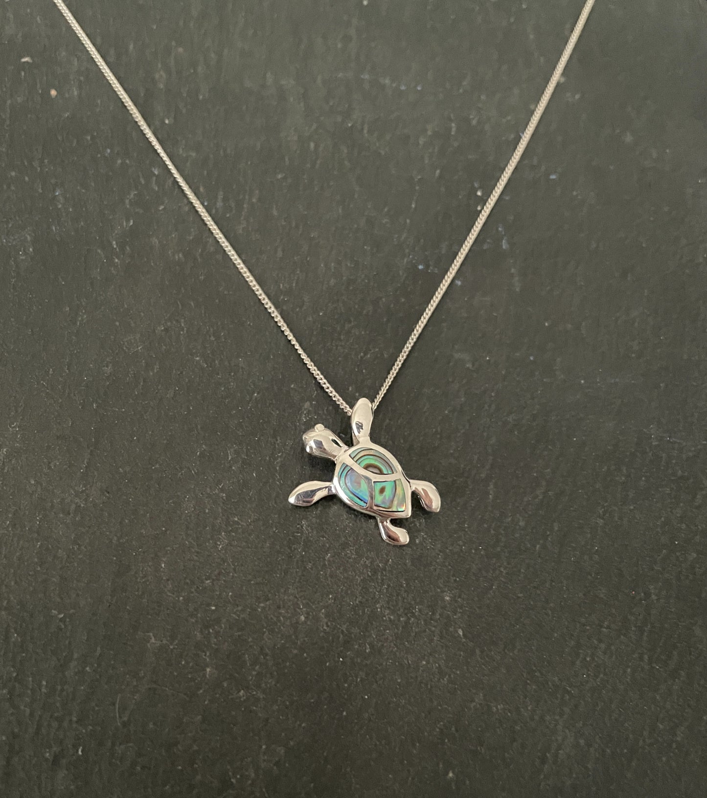 Paua Shell Turtle Pendant image 0