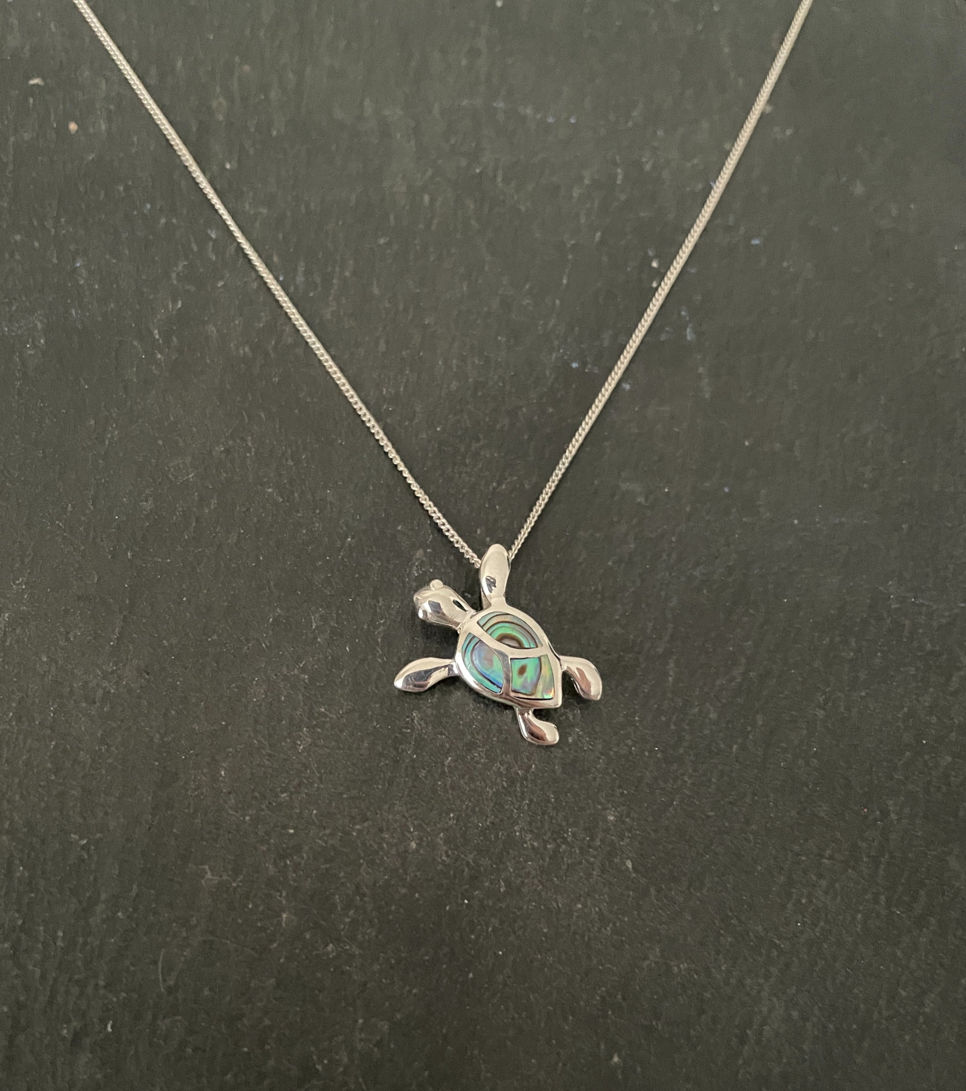 Paua Shell Turtle Pendant image 0