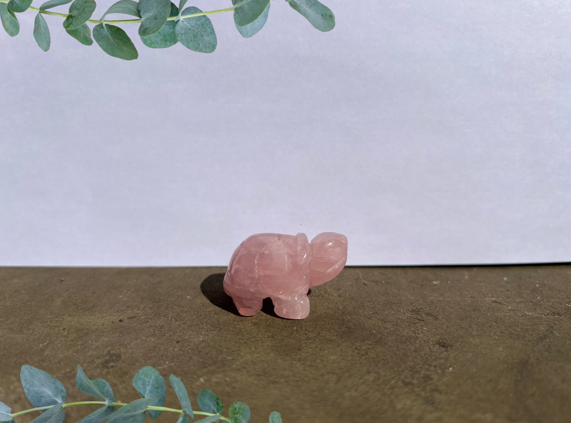 Rose Quartz Turtle image 0