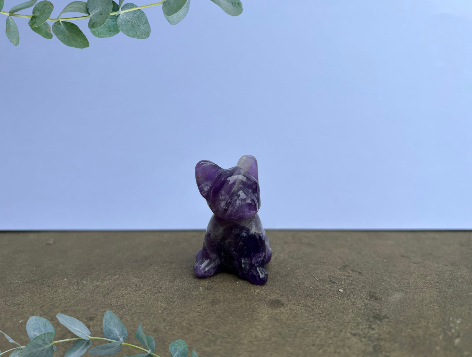 Amethyst French Bulldog image 0