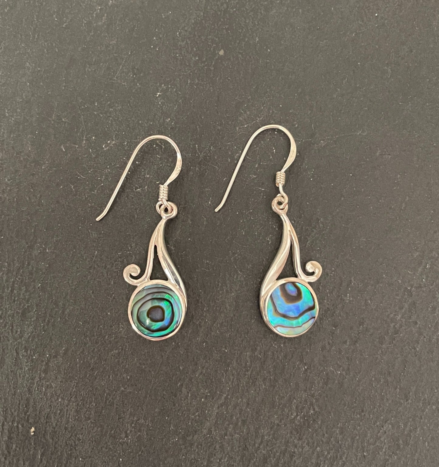 Paua Shell Round Earrings image 0