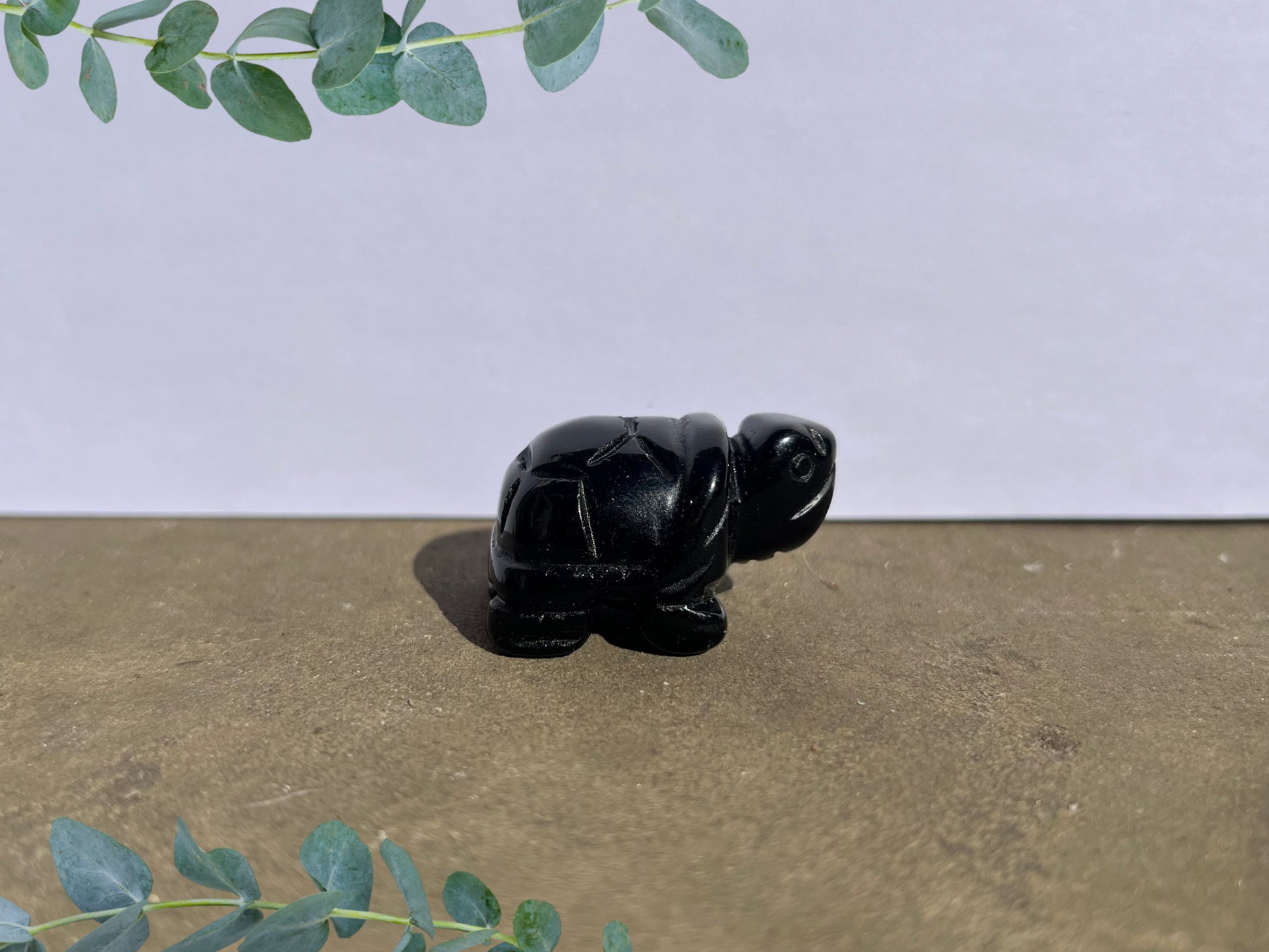 Black Obsidian Turtle image 0