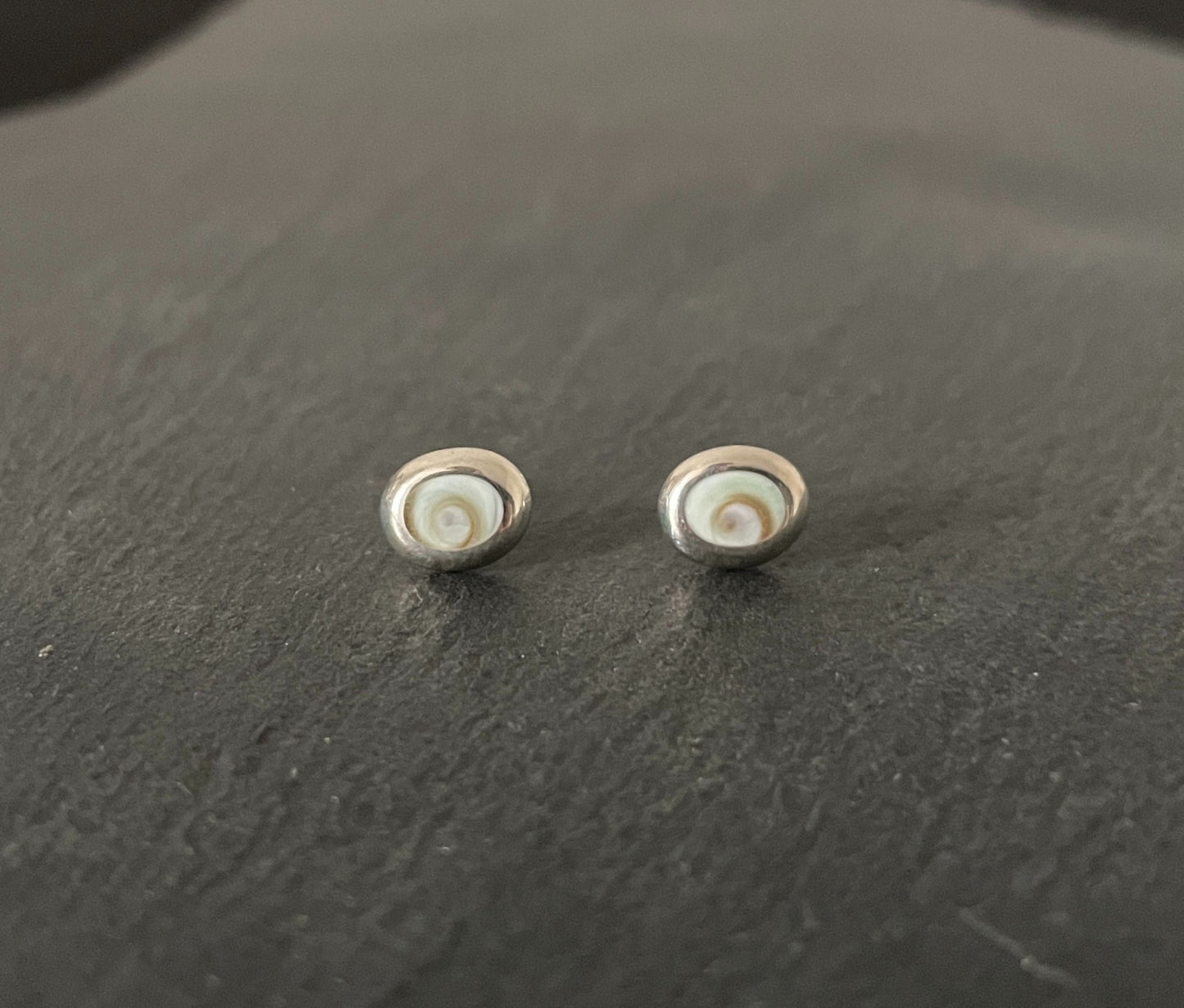 Shiva Shell Oval Stud Earrings image 0