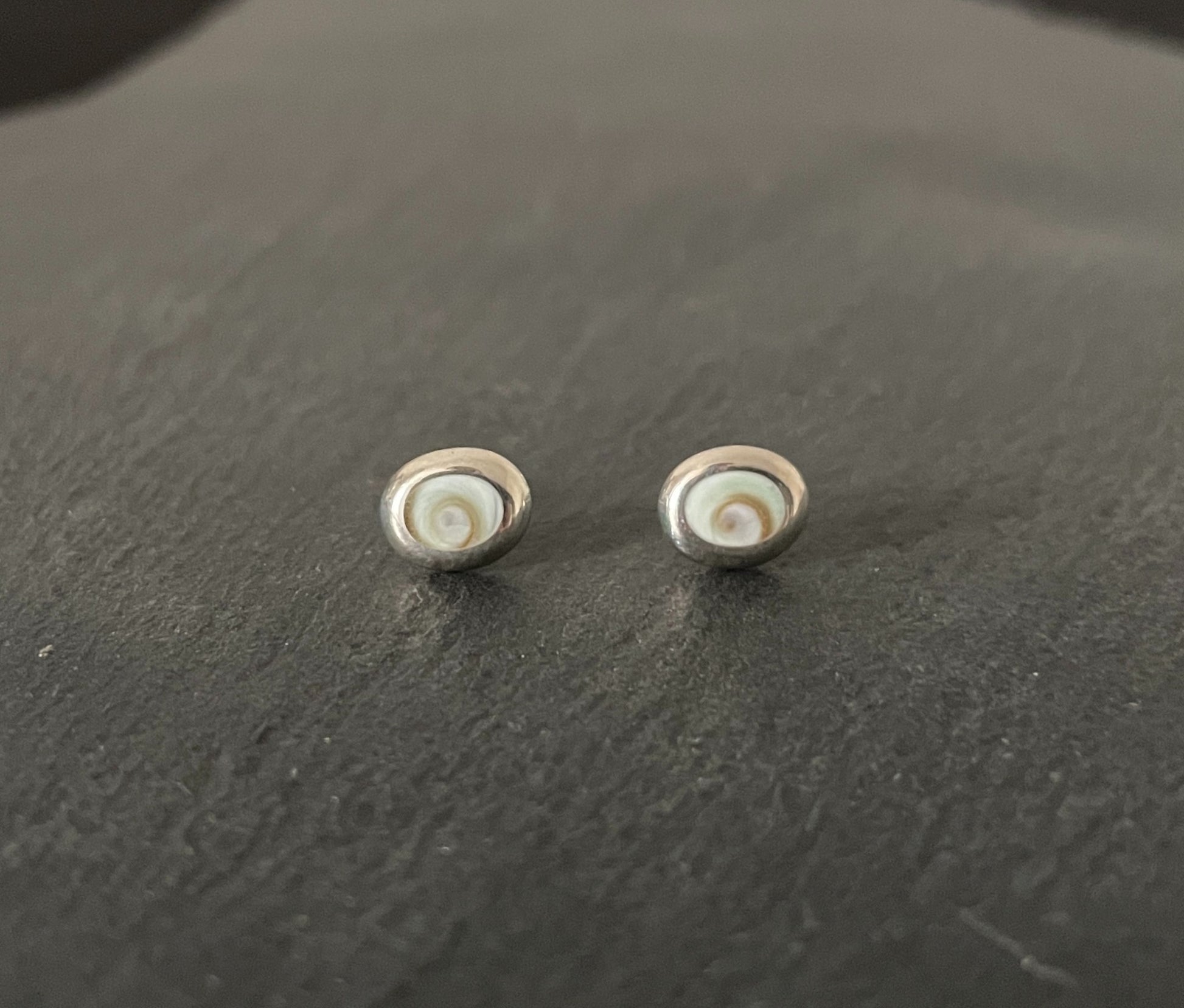 Shiva Shell Oval Stud Earrings image 0