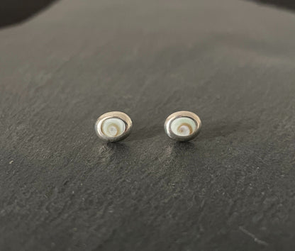 Shiva Shell Oval Stud Earrings image 0