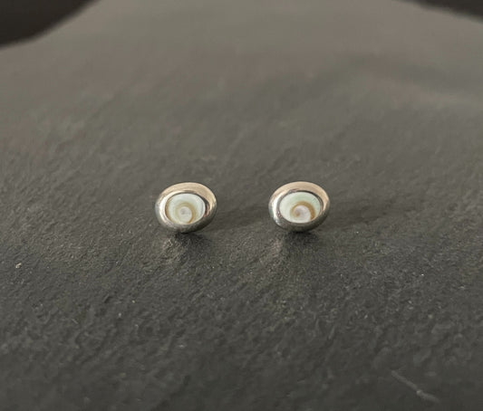Shiva Shell Oval Stud Earrings image 0