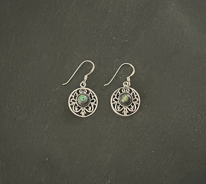 Paua Shell Round Earrings image 0