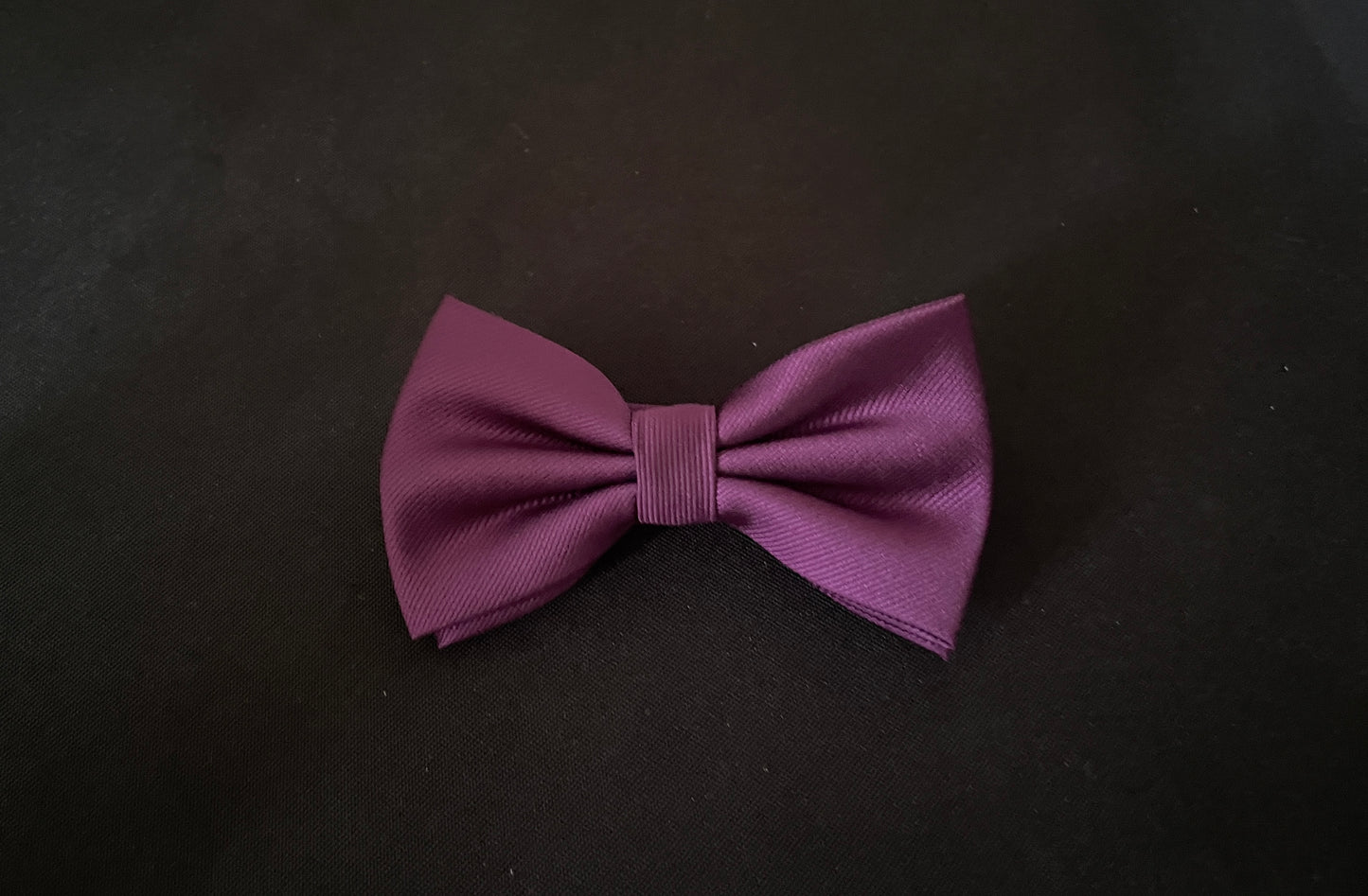 Purple Bow Tie image 0