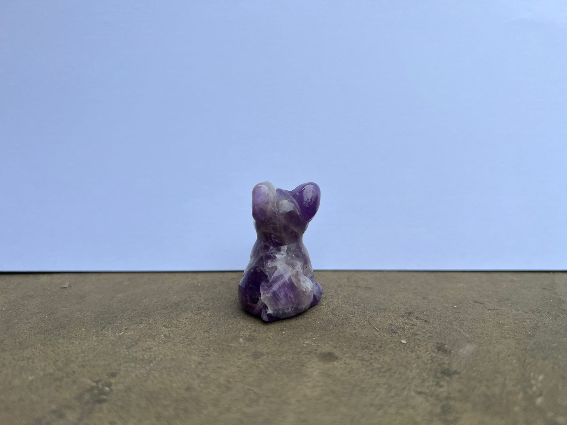 Amethyst French Bulldog image 1