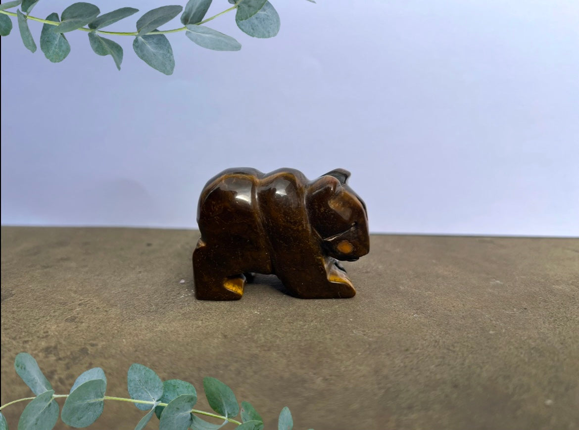 Tiger's Eye Polar Bear image 2