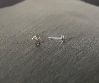 Silver Dog Studs image 1